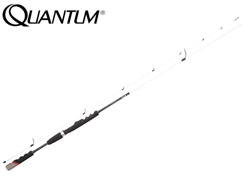 Quantum ACCURIST SPIN 2.55mt (C.W.: 12-74gr)