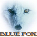 Blue Fox Spoons